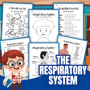 Respiratory System Worksheets for Kids | Printable Activity Pack | Diagram Worksheet | Elementary Anatomy | Lungs Printable PDF