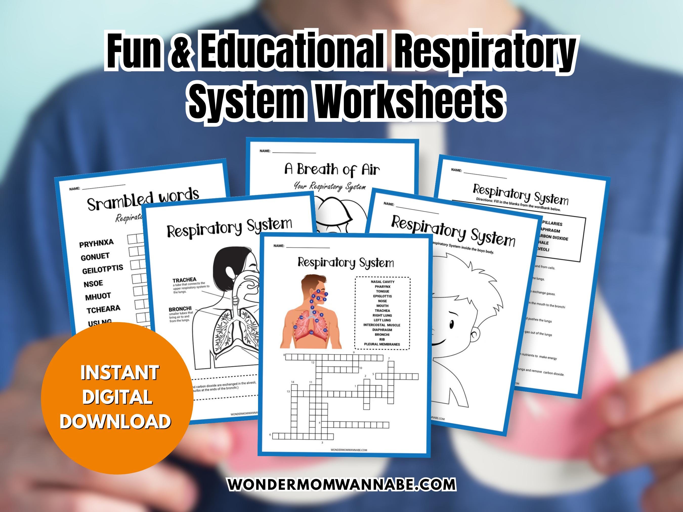 Lungs Worksheet.pdf Respiratory System Worksheets for Kids | Printable Activity Pack ...