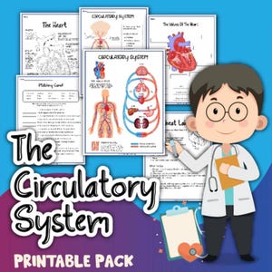 Kids Circulatory System Learning Kit: Printable Diagrams, Printable Activity (Digital Download)