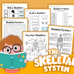 Skeletal System Activity Set | Printable Bones & Joint Worksheet for Kids | Human Body Lesson | STEM Anatomy Learning Activity