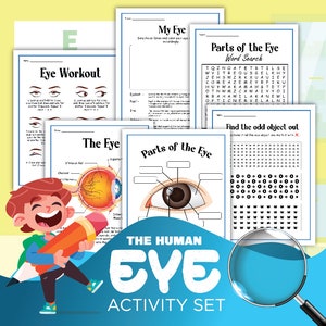 Printable Human Eye Study Bundle, Educational Activity Pack, Eye Diagram Practice, Science Project Material, Instant Download