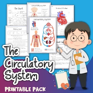 Kids Circulatory System Learning Kit: Printable Diagrams (Digital Download)