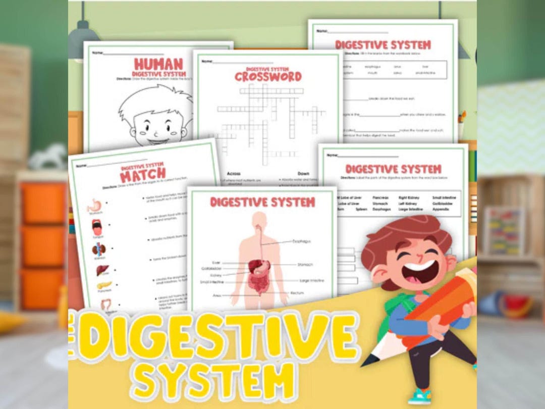 Digestive Problems Activity Digestive System Activity Set | Printable Anatomy Worksheets | Body ...