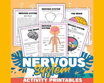 Nervous System Activity Set | Printable Worksheets for Kids | Brain Labeling Aid | Science Class Kit | Homeschool & Classroom Activity
