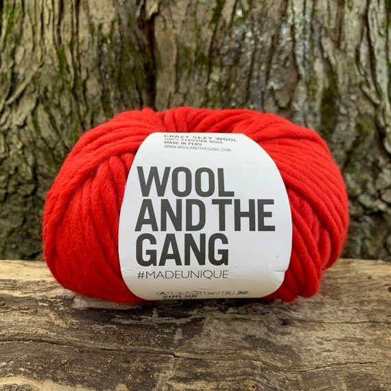 Wool and the Gang Crazy Sexy Wool, EARTHY ORANGE, Super Chunky