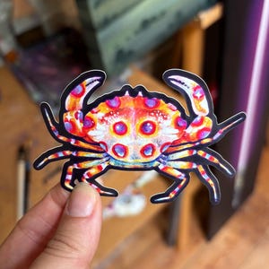 May include: A colourful crab sticker with a black outline. The crab has a vibrant design with red, orange, yellow, and blue spots. The sticker is held by a hand, showcasing its detailed artwork and potential for decorative use.