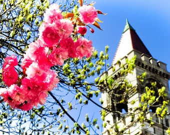 Primavera en Worcester