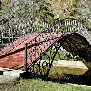 Elm Park Footbridge in the Fall