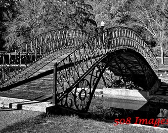 Pasarela de Elm Park en BW