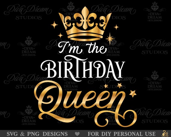 Party Queen Birthday Party Shirt Party Queen Birthday Party Shirt