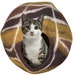 see more listings in the Cat Caves section