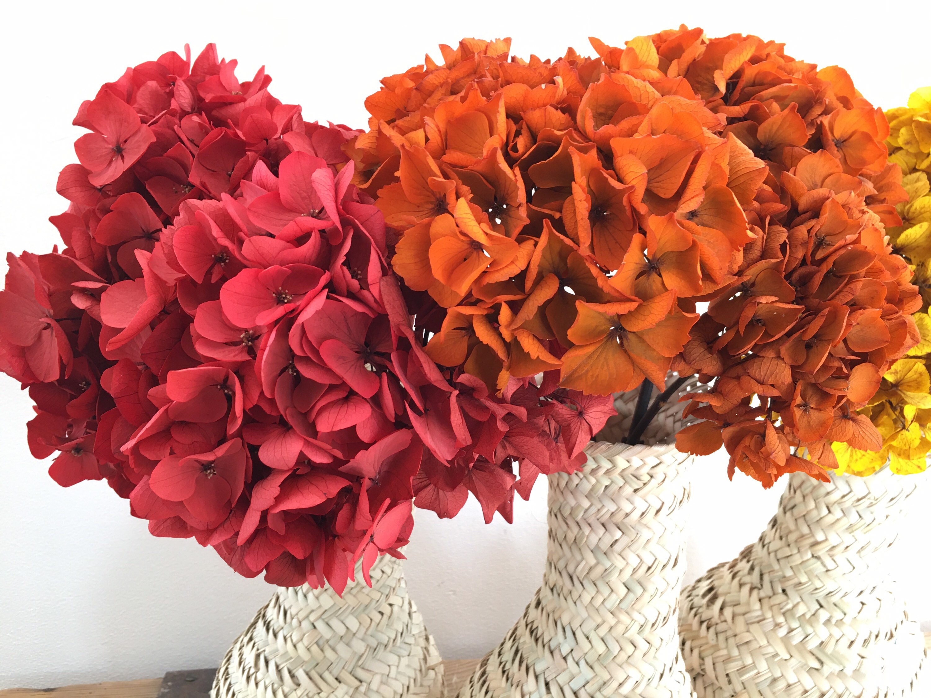 Bouquet Hortensia Stabilisé