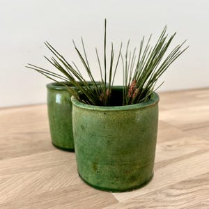 Może przedstawiać: Dwa zielone ceramiczne doniczki, jedna przed drugą, o szorstkiej, teksturowanej powierzchni. Przednia doniczka zawiera zielone igły sosnowe i małe szyszki. Doniczki stoją na jasnej drewnianej powierzchni.