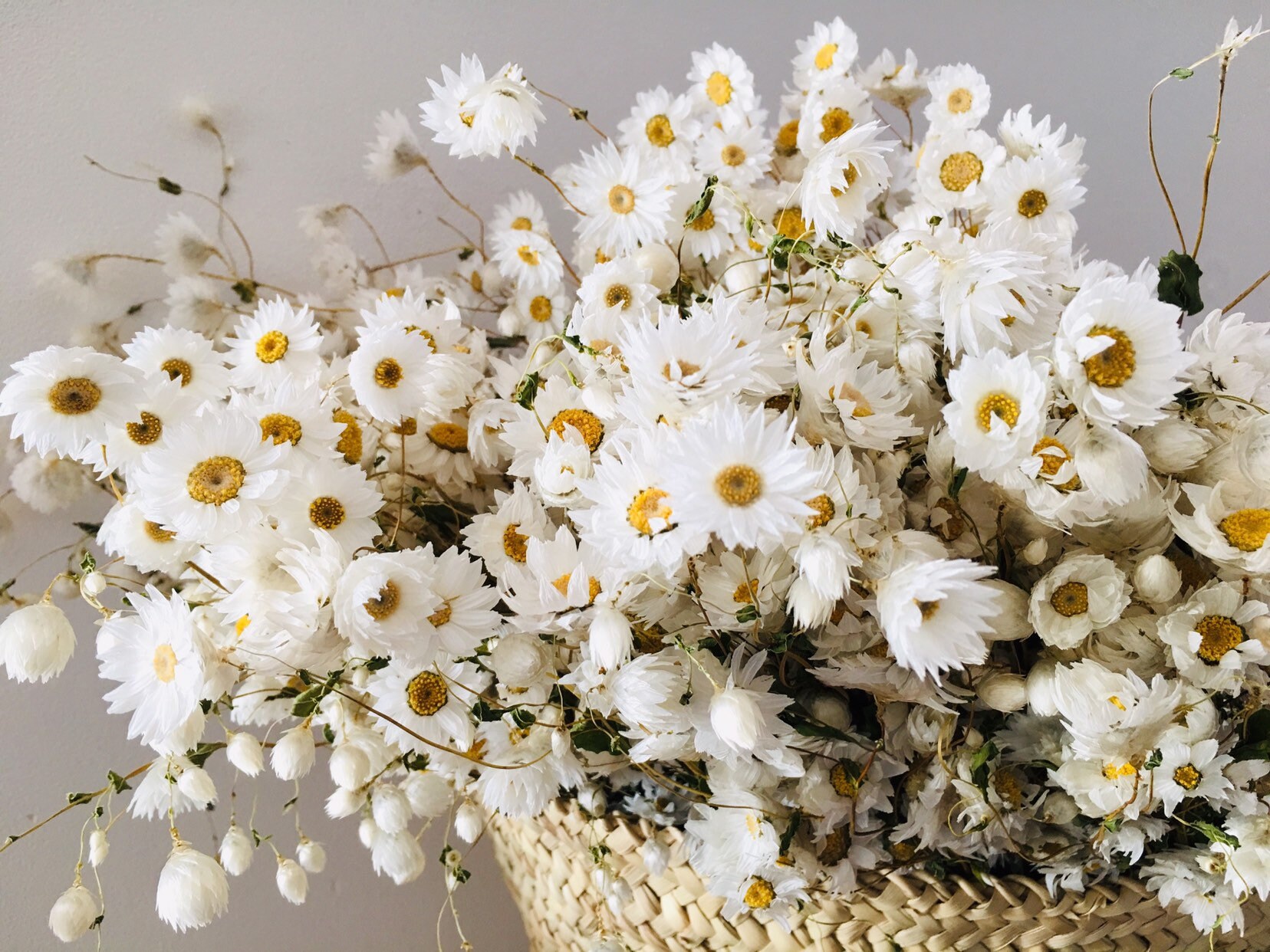 Bouquet Fleurs Séchées