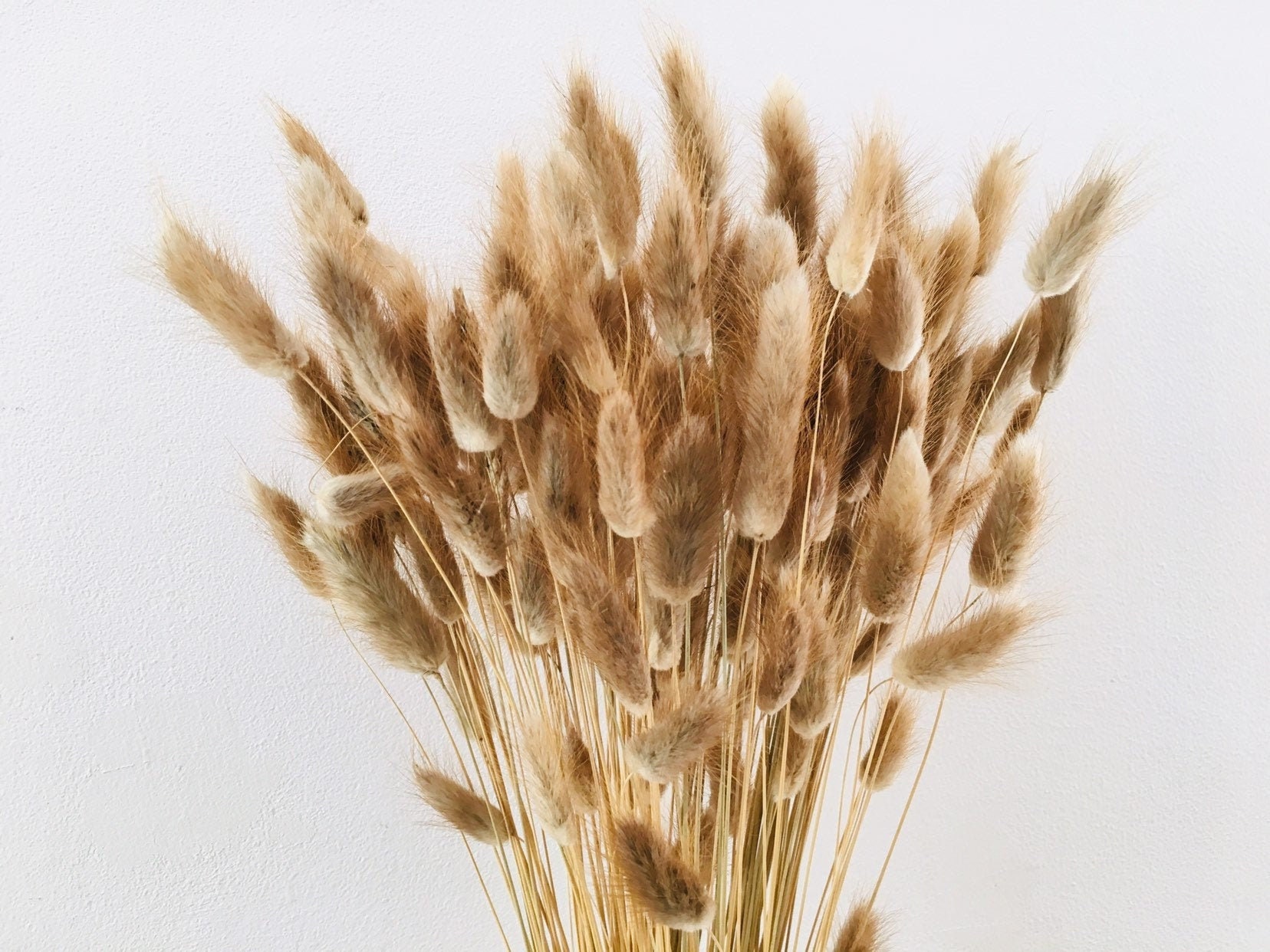 Bouquet Fleurs Séchées