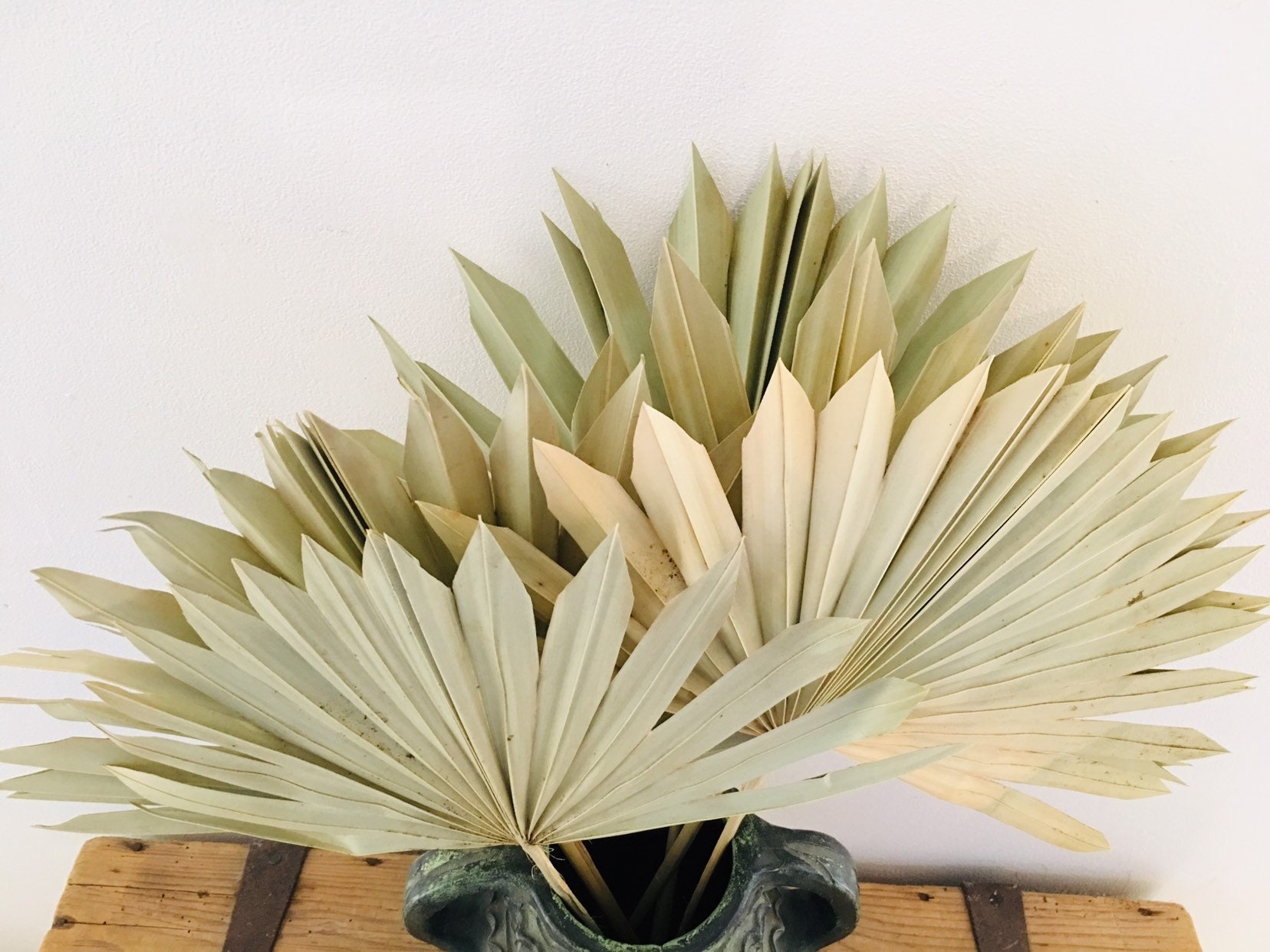 Dried palm leaves Etsy