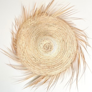 Peut inclure: Une décoration murale circulaire tressée en fibres naturelles beige clair. Le centre présente un motif concentrique serré qui rayonne vers l'extérieur, se terminant par de longs brins lâches et non tressés sur le bord extérieur.