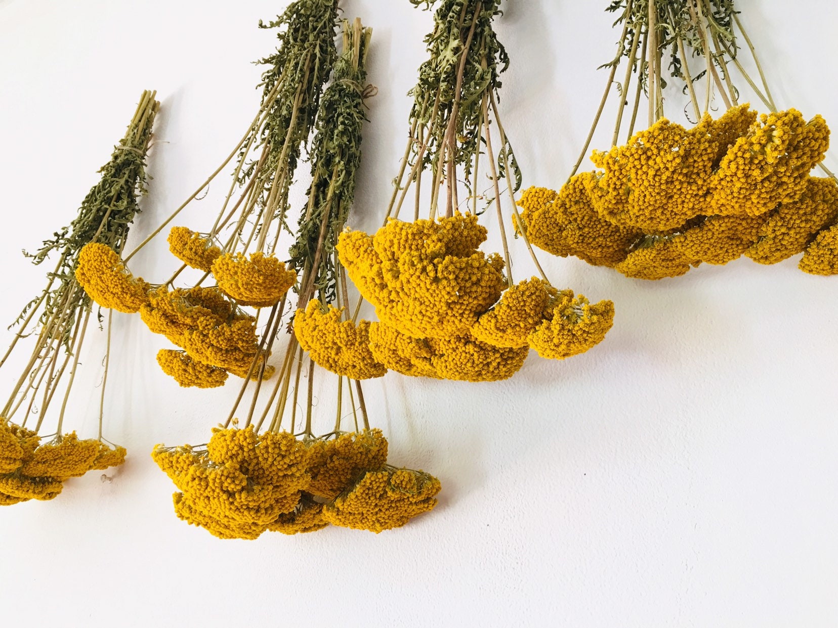 Bouquet Fleurs Séchées