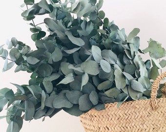 Eucalyptus bouquet