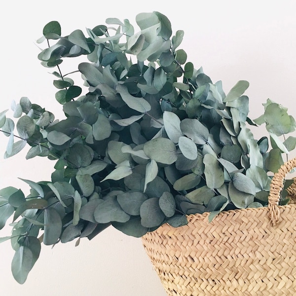 Eucalyptus bouquet