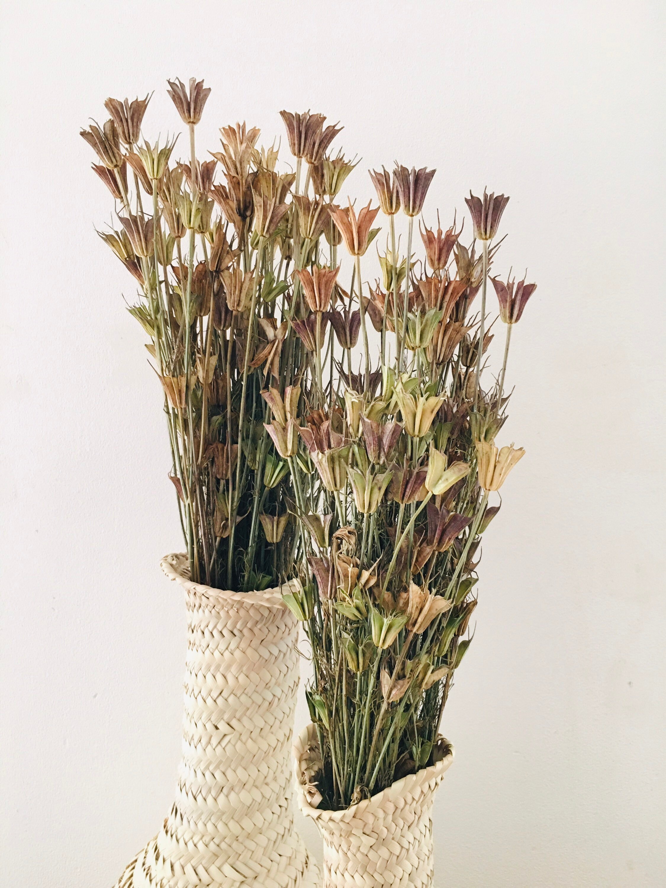 Bouquets de Fleurs Séchées