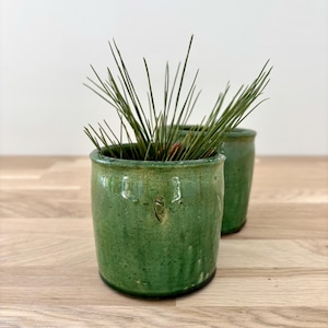 Może przedstawiać: Dwa zielone ceramiczne doniczki o teksturowanym wykończeniu, każda wypełniona długimi, zielonymi igłami sosnowymi. Doniczki mają rustykalny, postarzany wygląd i stoją na jasnej drewnianej powierzchni. Doniczki są cylindryczne i mają lekko nieregularny kształt.