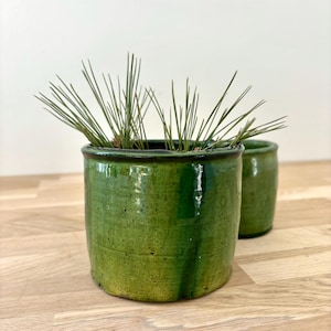 Może przedstawiać: Dwa zielone ceramiczne doniczki z błyszczącym wykończeniem. Przednia doniczka jest wypełniona zielonymi igłami sosny. Doniczki są cylindryczne z ciemną obwódką. Tło jest jasne, a doniczki stoją na drewnianej powierzchni.