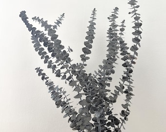 Preserved Eucalyptus Bouquet – Natural Decoration – Long-Lasting Foliage