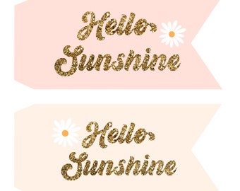 Hello Sunshine pennant flag, printable pennant flag, glitter summer pennant flags, two versions,pastel sunshine paper pennant flags