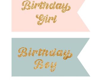 Happy Birthday pennant flag, printable pennant flag, glitter birthday pennant flags, two versions, paper pennant flags