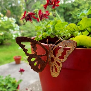 May include: A rusty brown metal butterfly decoration attached to a red flower pot. The butterfly has intricate cut-out details and is positioned in front of green foliage and red flowers. The pot is filled with green plants.