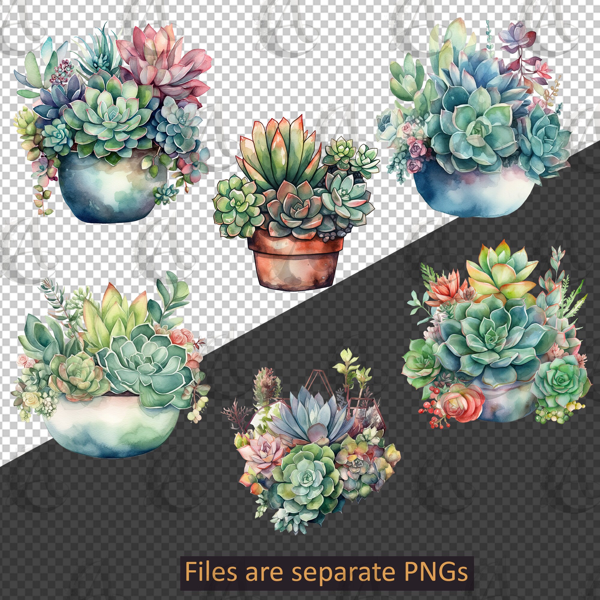 Succulents Watercolor Clipart Set - PNG Instant Download Commercial Use ...