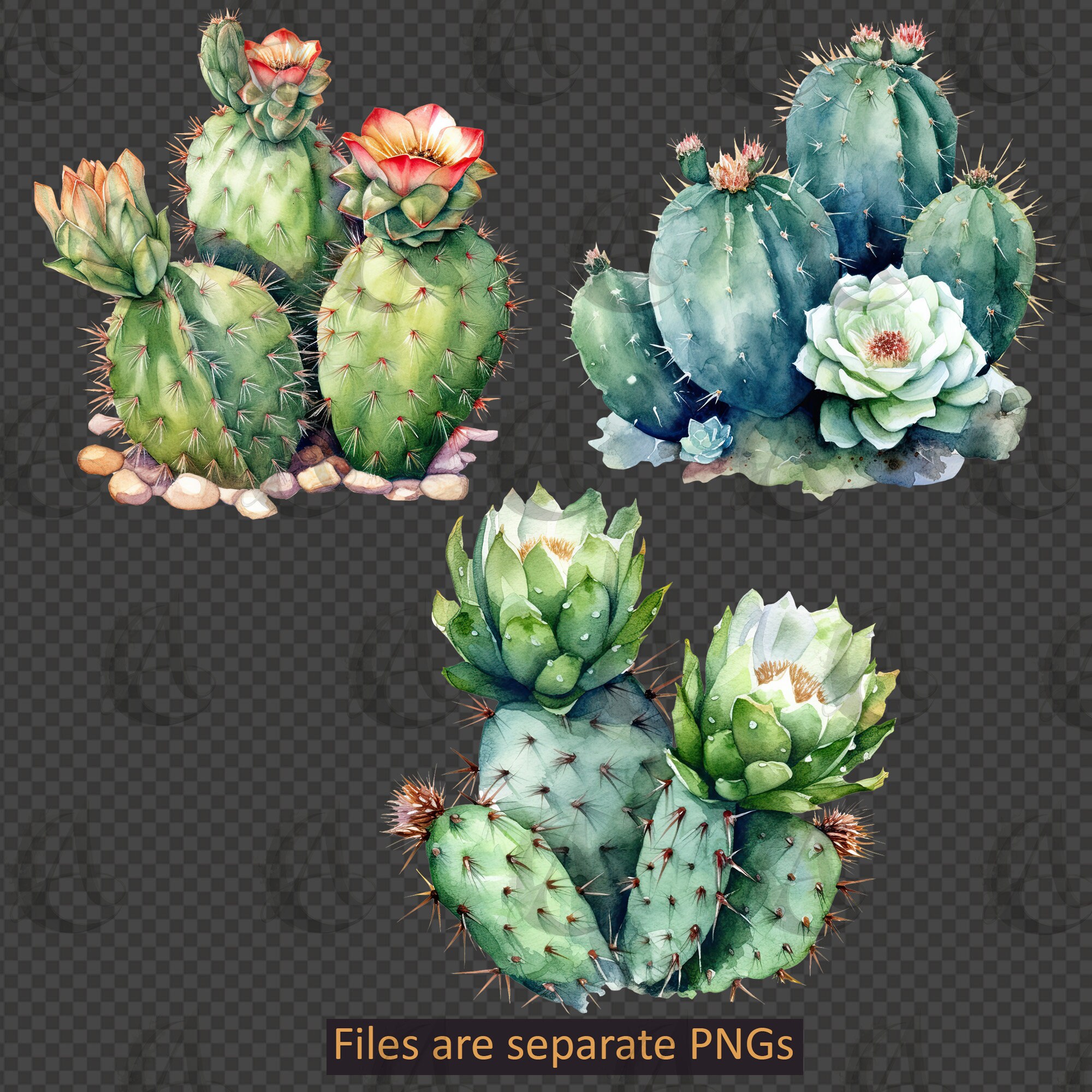 Watercolor Cactus Clipart Set - PNG Instant Download Commercial Use - Etsy