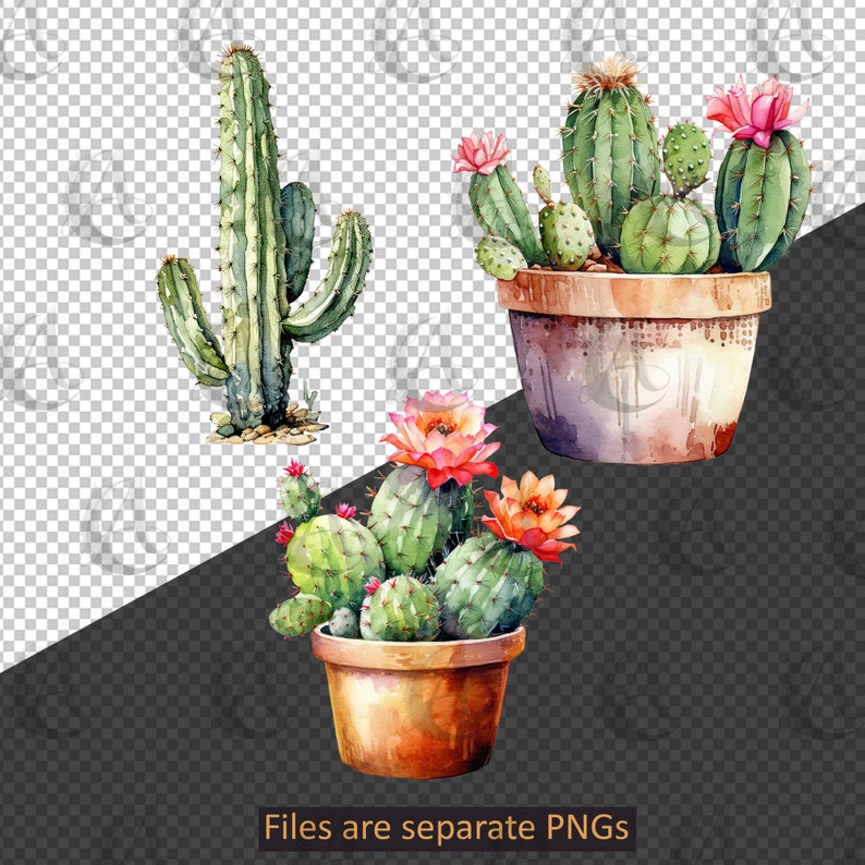 Watercolor Cactus Clipart Set - PNG Instant Download Commercial Use - Etsy