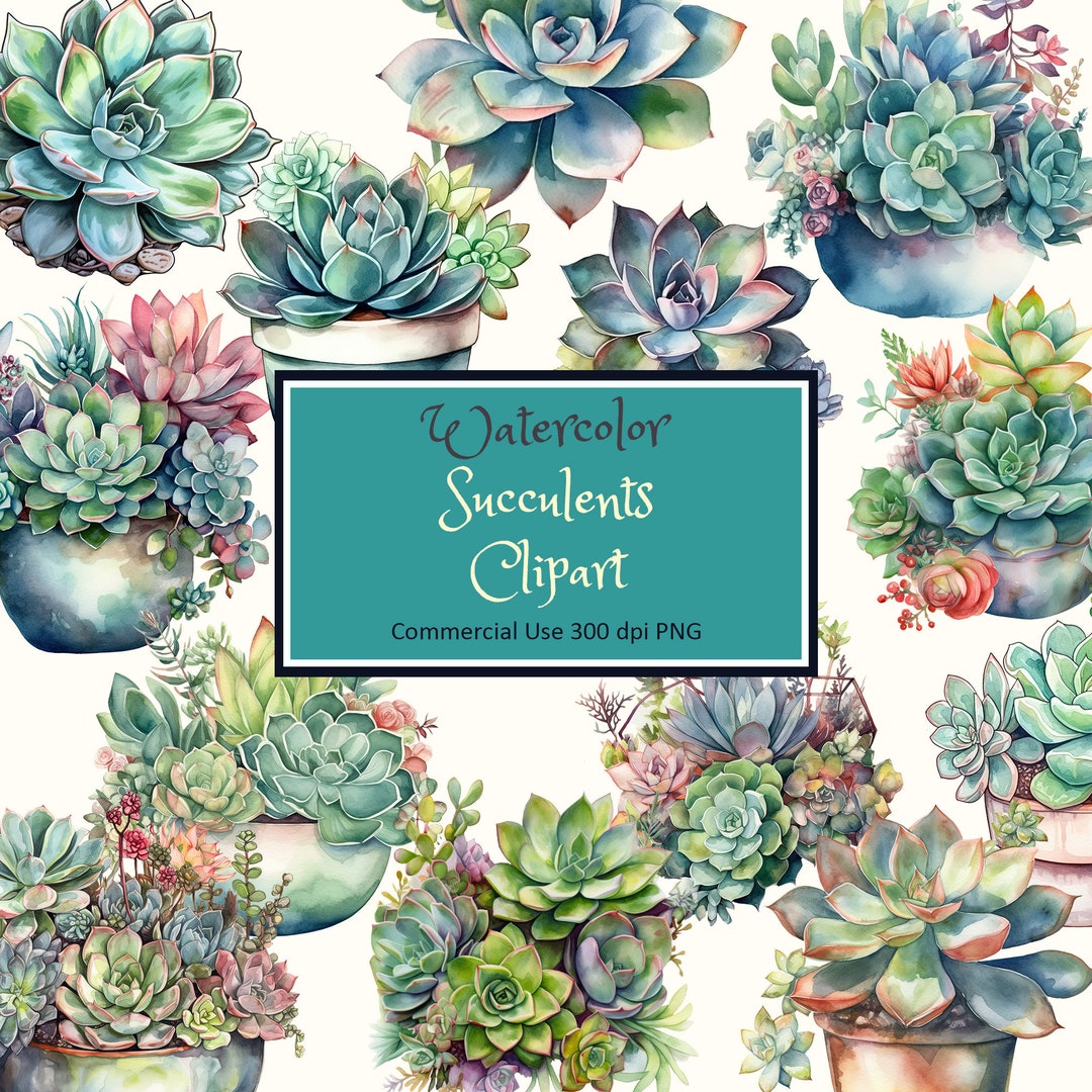 Succulents Watercolor Clipart Set - PNG Instant Download Commercial Use ...