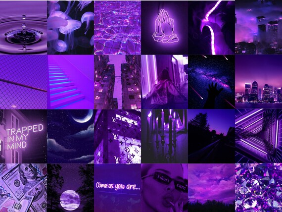 MACxNastyGal  Purple vibe, Purple walls, All things purple