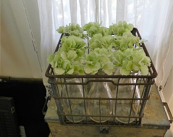 Satz Von 6 Antike Milch Flaschen Quart Grosse Sortiment Von Etsy