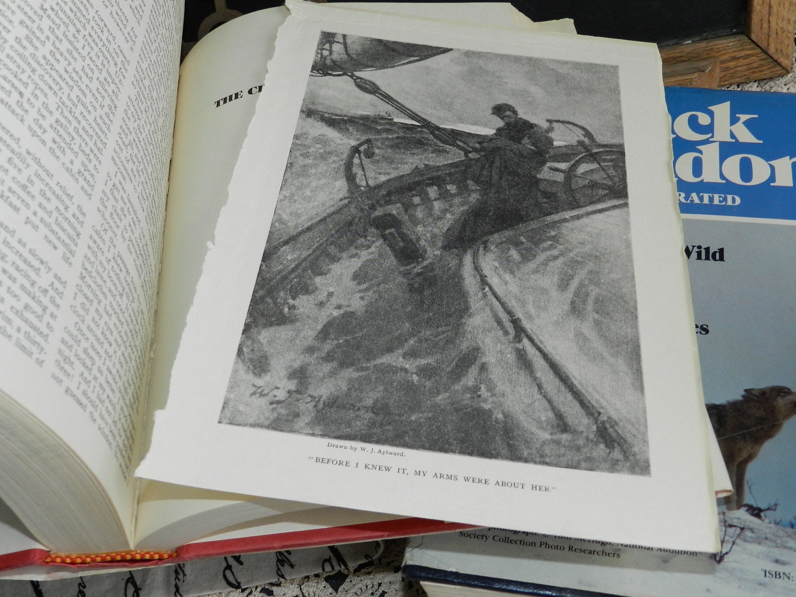 JACK LONDON Book/tales of the North 1979/ Hardcover With Jacket - Etsy JACK LONDON Book/tales of the North 1979/ Hardcover With Jacket - Etsy