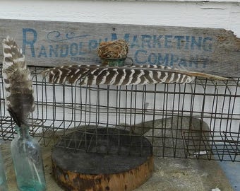ANTIQUE METAL WiRE small ANiMAL TRAP/CaGE/33 1/4" X 6 1/4" X 6 1/2"