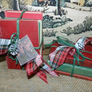 PAQUETES DE MINI B00K SE VENDEN POR SEPARADO/ROJO/VERDE CON ETIQUETA DE TARJETA CON CINTA FRANCESA EN FORMA DE PIÑA