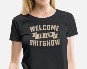 Welcome To The Shitshow ladies t-shirt