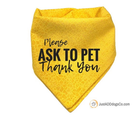 yellow dog bandana