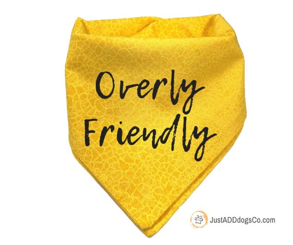 friendly dog bandana