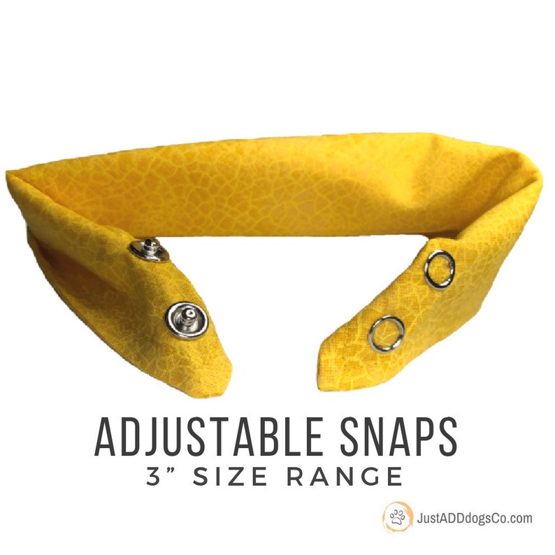 Scared Of Men Men Make Me Nervous Yellow Dog Bandana Reactive Shy Dog Give Me Space Bandana Nervous Dog Warning Dog Bandana