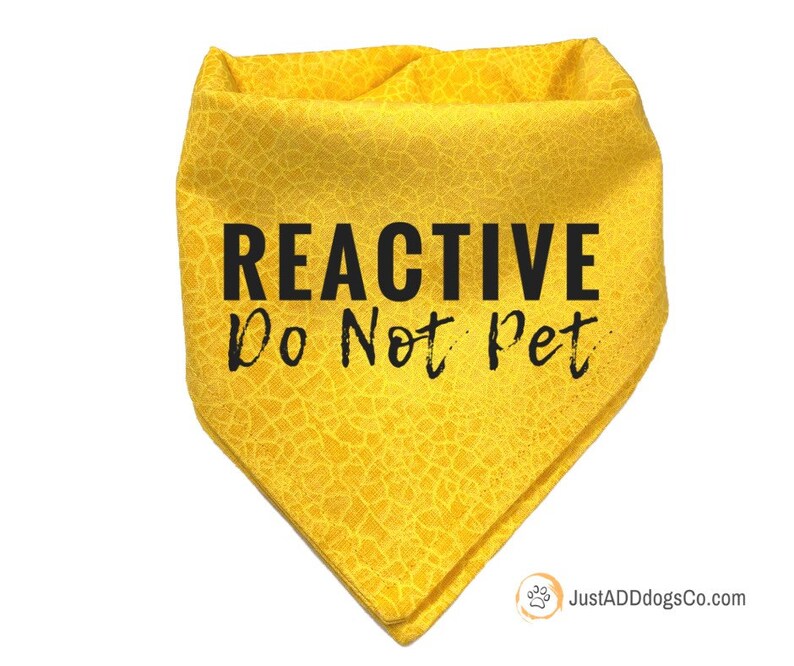 reactive dog bandana
