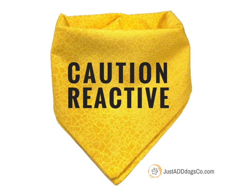Reactive Dog Yellow Dog Bandana Caution I Need Space Dont Etsy