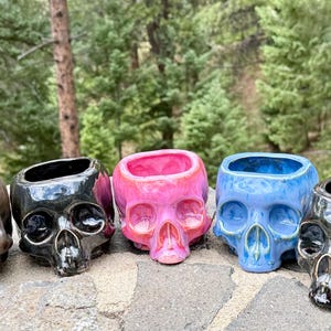 May include: Five ceramic skull-shaped planters arranged in a row. The colors from left to right are a muted brown, a glossy black, a vibrant hot pink, a bright sky blue, and a dark charcoal black. Each skull features hollow eye sockets.