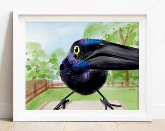 Funny Texas Grackle Art Print - grackle print, grackle art, bird artwork, bird art print, Texas artwork, Texas wall art