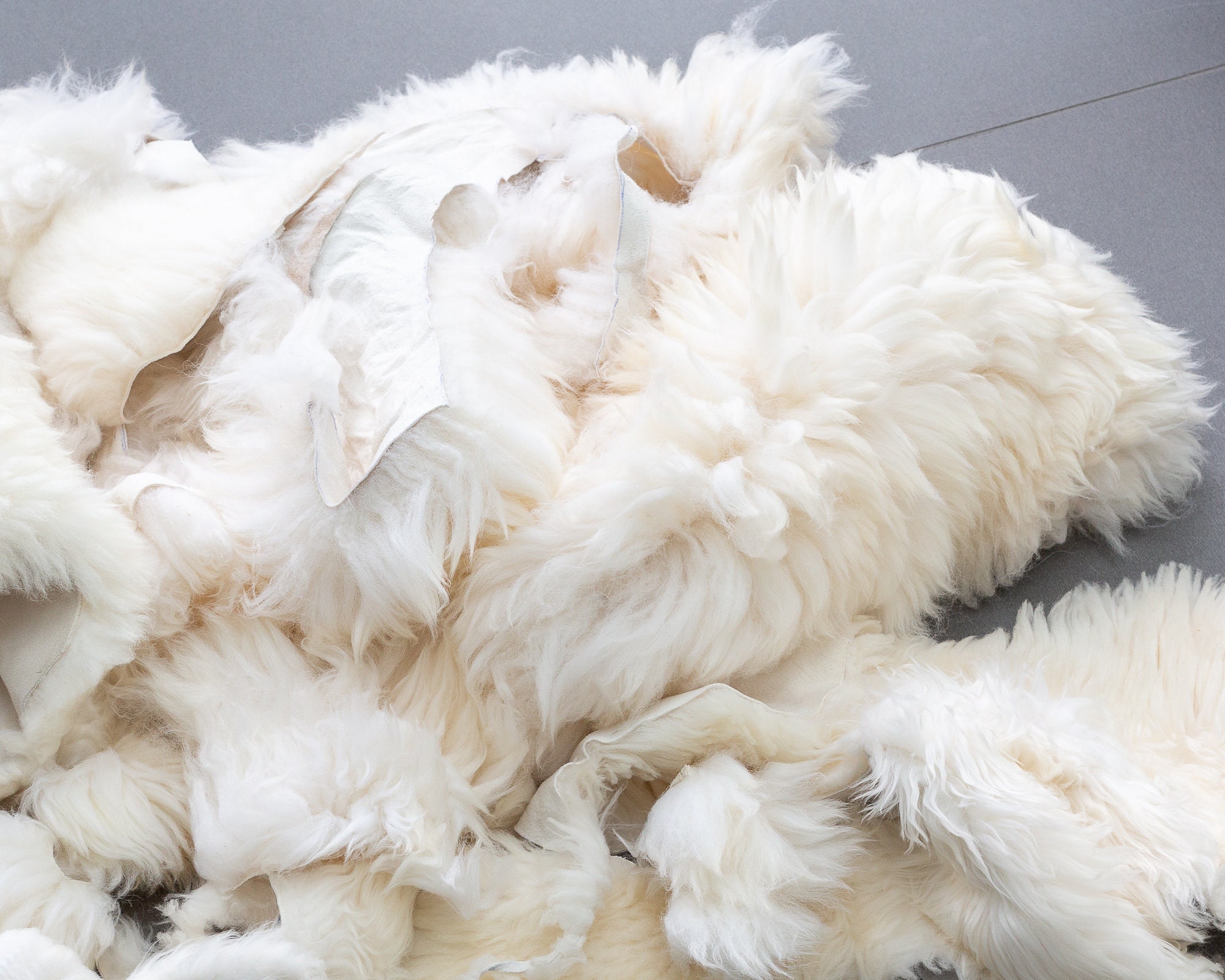 Cortes naturales de piel de oveja mixta. 2 libras 1kg Etsy