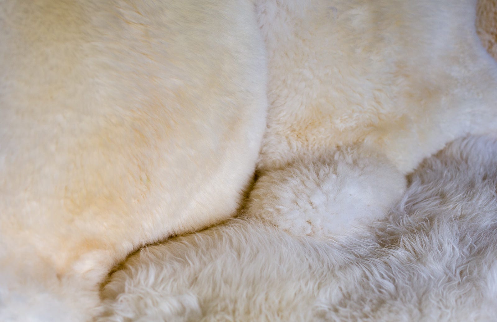 Genuine Sheep Pelt. Natural off white colour Sheepskin Rug 40 | Etsy